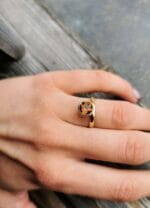 Auksinė šiluma - Image 5