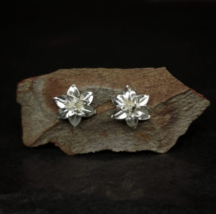 0649fc_c02804a3612041f8a74ead16fd226299mv2.jpg Sidabrinės lelijos – Paveikslėlis 1