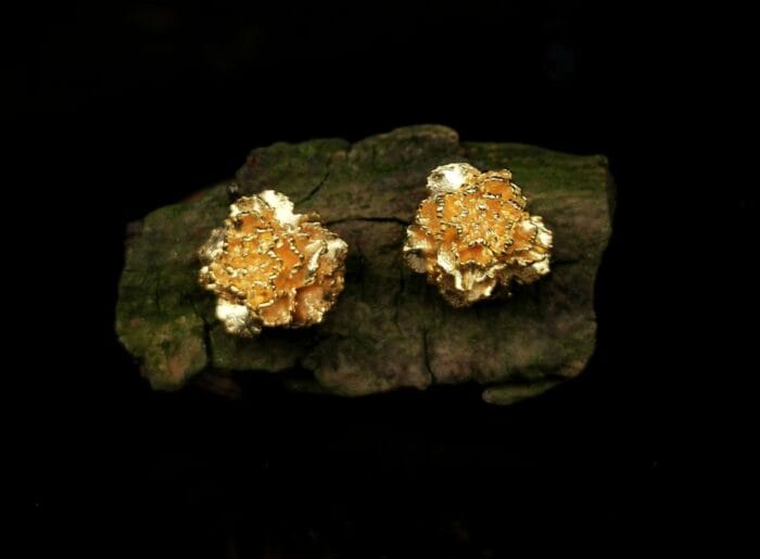 0649fc_c40c3e12c5524c519706e898d5d975f4mv2.jpg Auksuoti gvazdikai – Paveikslėlis 1