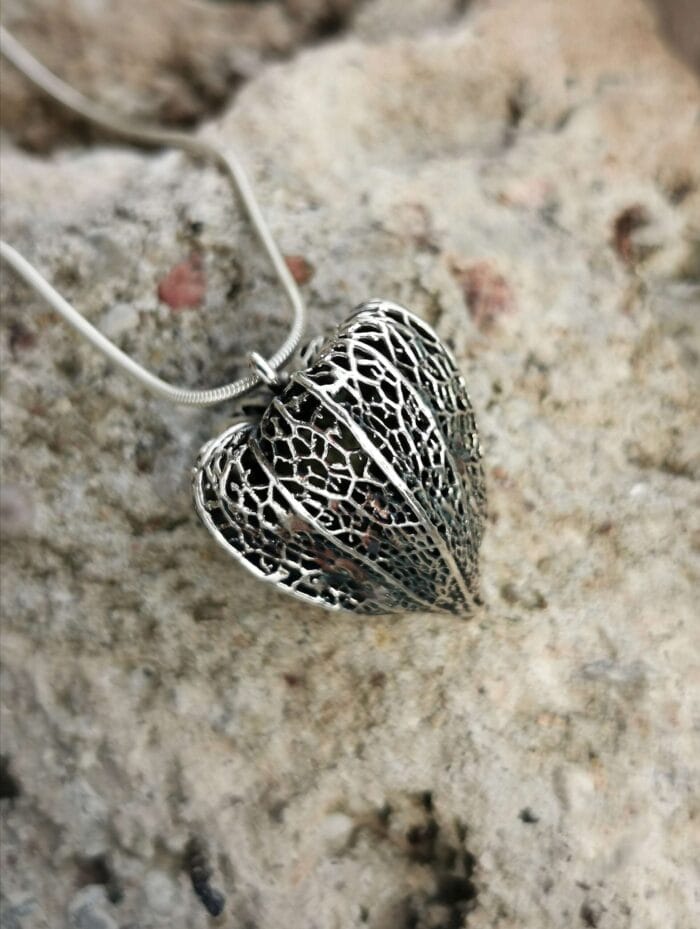 0649fc_c41ca6e1ac924be2ade7e576fbf1b2c4mv2.jpg Žvaigždžių uoga – Paveikslėlis 1