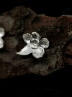 Sidabrinės orchidėjos – Paveikslėlis 2