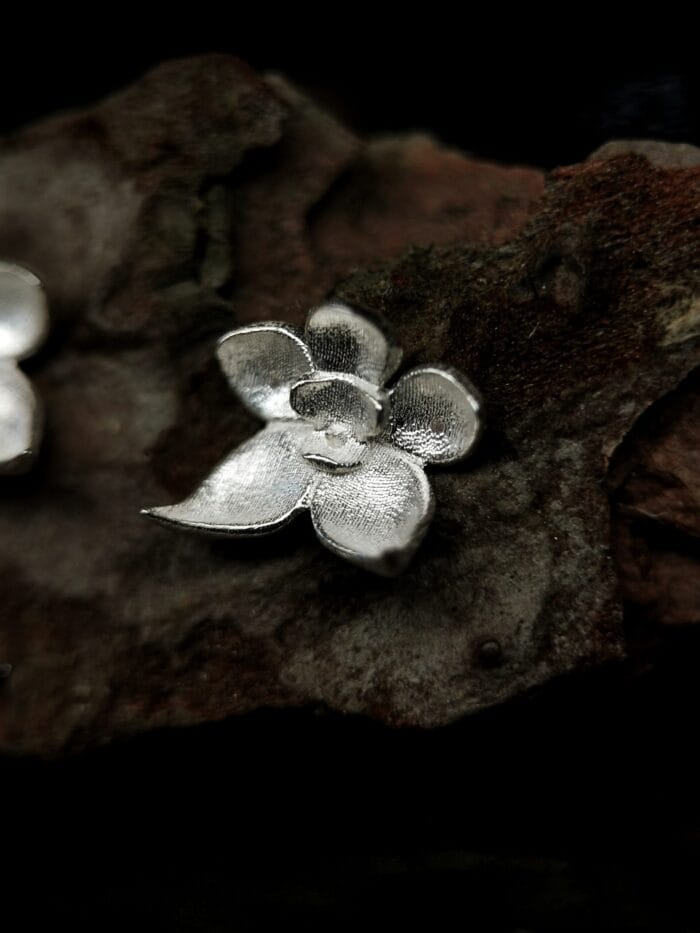 Sidabrinės orchidėjos - Image 2