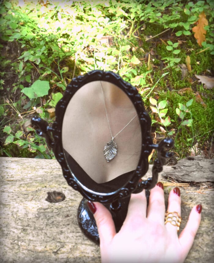 Sidabrinis lapelis – Paveikslėlis 2