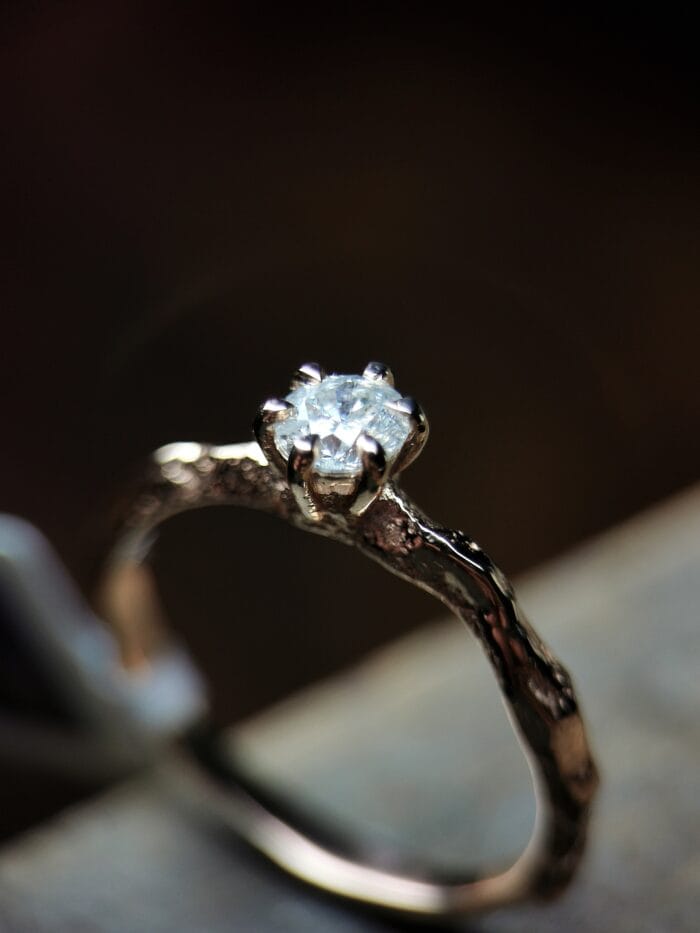 Žemės galia – Paveikslėlis 3