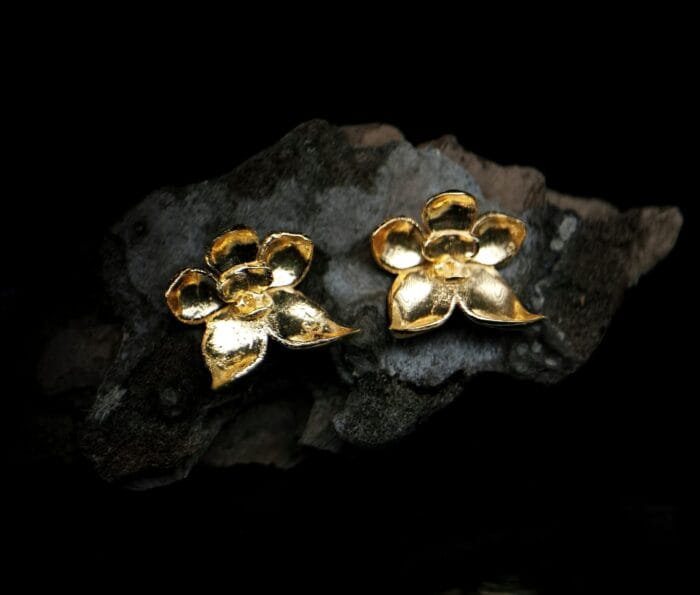 nor Auksuotos orchidėjos – Paveikslėlis 1