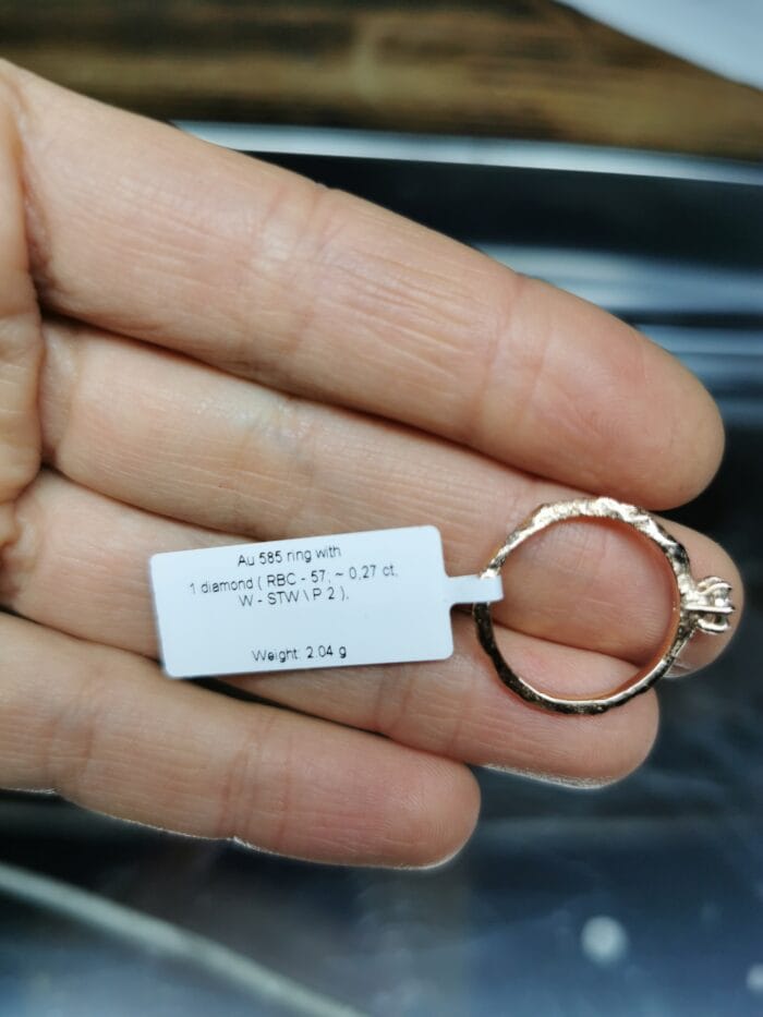 Žemės galia – Paveikslėlis 6