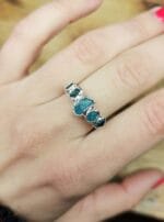 Girių dvasios – Paveikslėlis 2