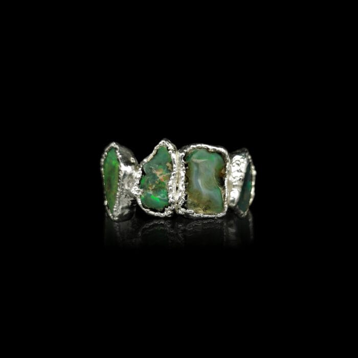 Žalioji magija – Paveikslėlis 2