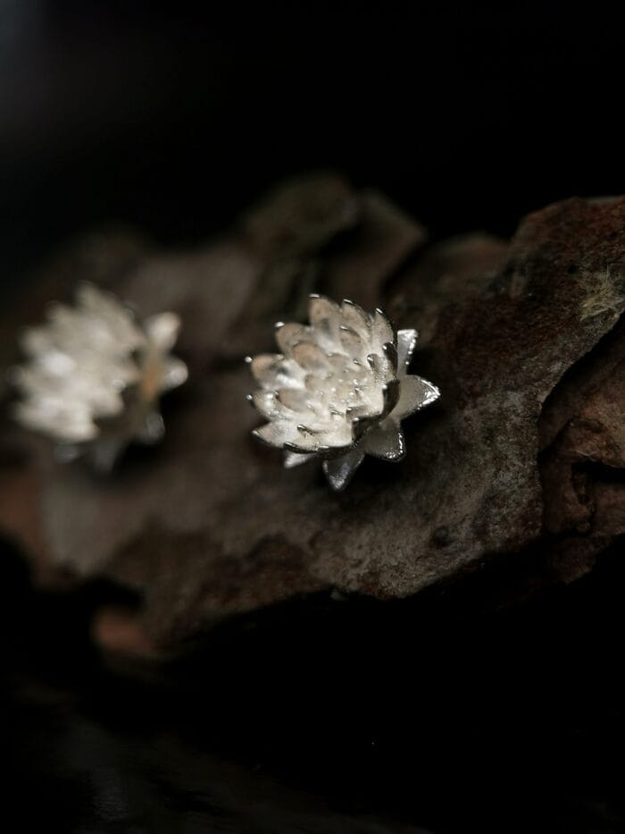 oznorCO Sidabrinės vandens lelijos – Paveikslėlis 1