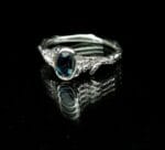 Šerkšnas – Paveikslėlis 2