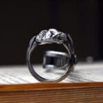 Titano žiedas su meteoritu