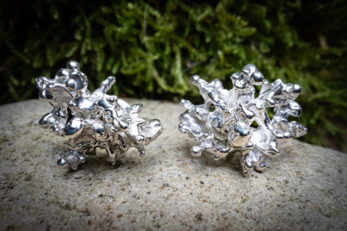 0649fc_ef942c9199bb4a579afed582d37ec781mv2.jpg Sidabrinės kerpės - Image 1