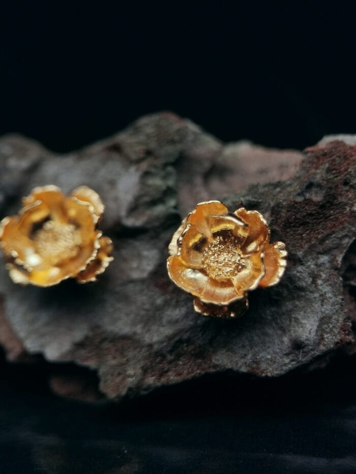 oznorCO Auksuotos plukės – Paveikslėlis 1