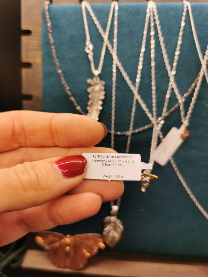 Dangiškasis globėjas su mėlynu deimantu – Paveikslėlis 3