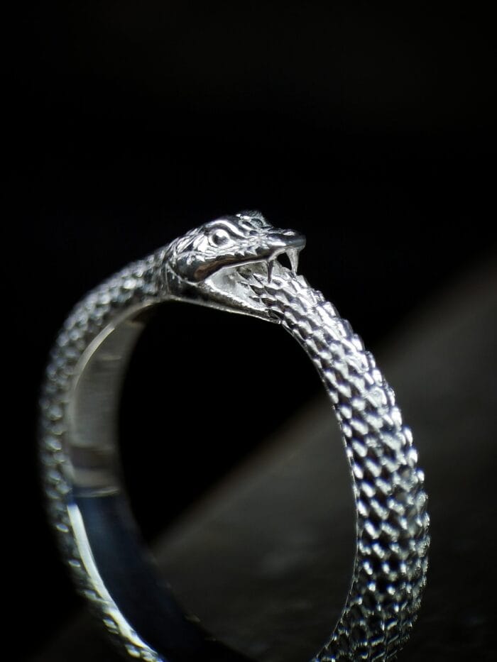 0649fc_f9cdfa0317bc4194bc3ad576602fe41amv2.jpg Ouroborus - Image 1