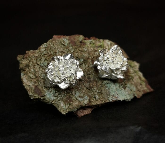 Sidabriniai gvazdikai – Paveikslėlis 2