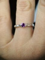 Rožinė aušra - Image 2