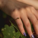 Saulės prisilietimas