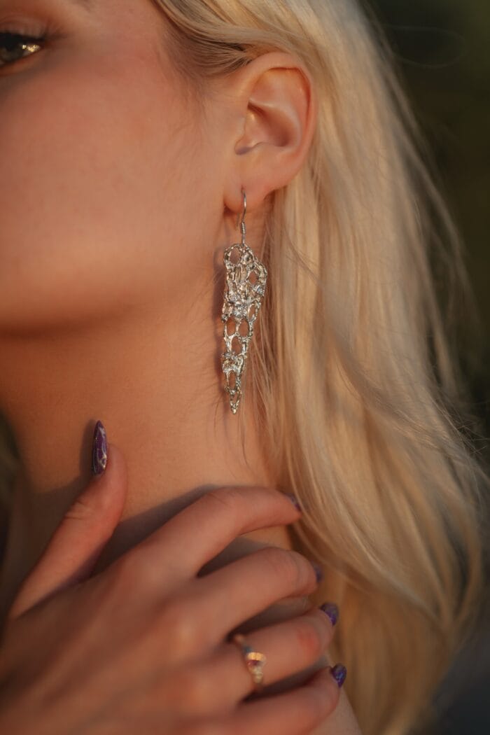 Žvaigždžių nėriniai – Paveikslėlis 5