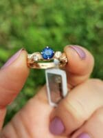 Mėlynoji gyja - Image 6