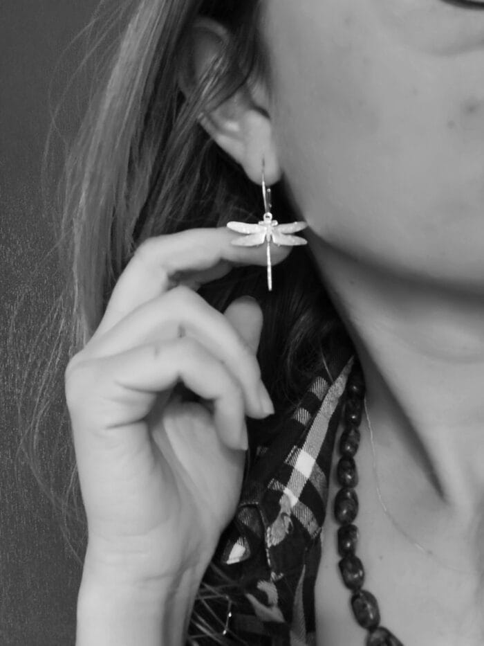 Laumžirgiai - Image 3