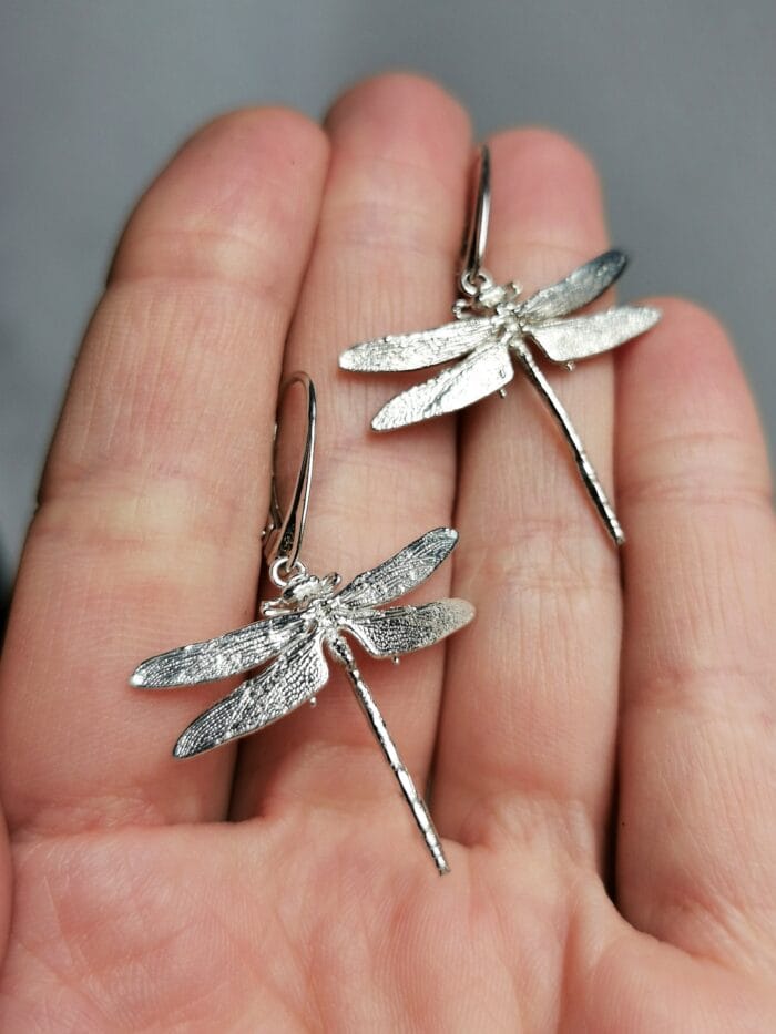 2025/06/IMG_20250605_174014-scaled.jpg Laumžirgiai - Image 1