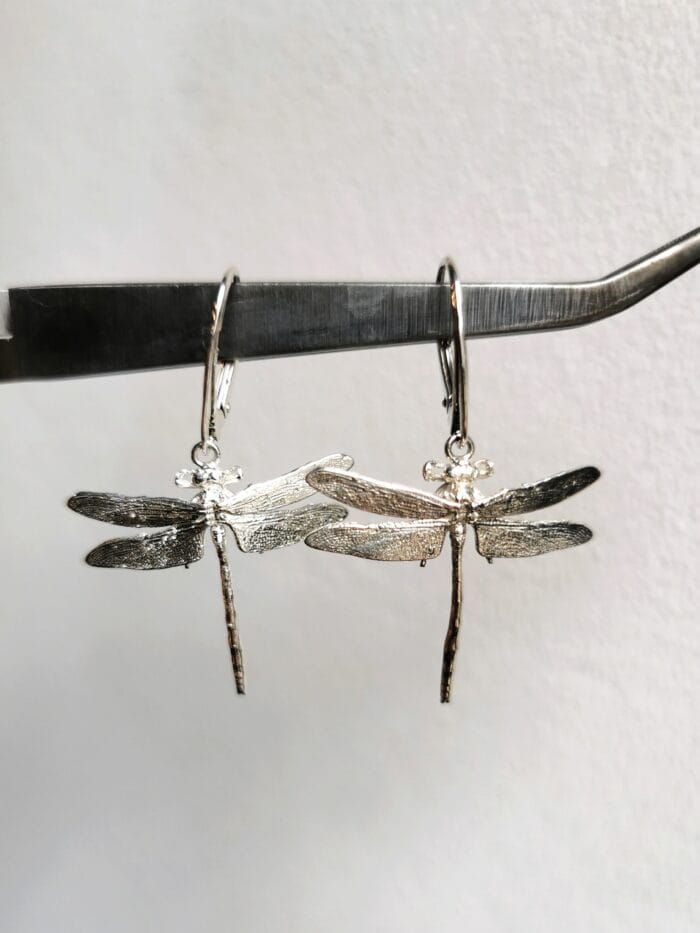 Laumžirgiai - Image 2