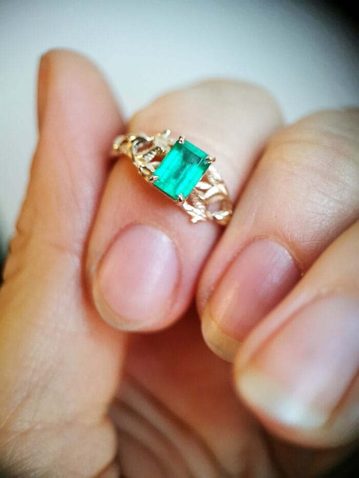 Miško sapnas - Image 2