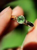 Žalčio akis - Image 4