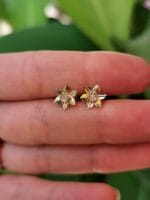 Pievų karalienės - Image 2