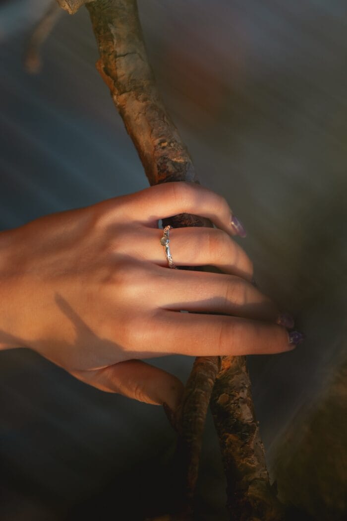 Šviesos šešėlis - Image 5