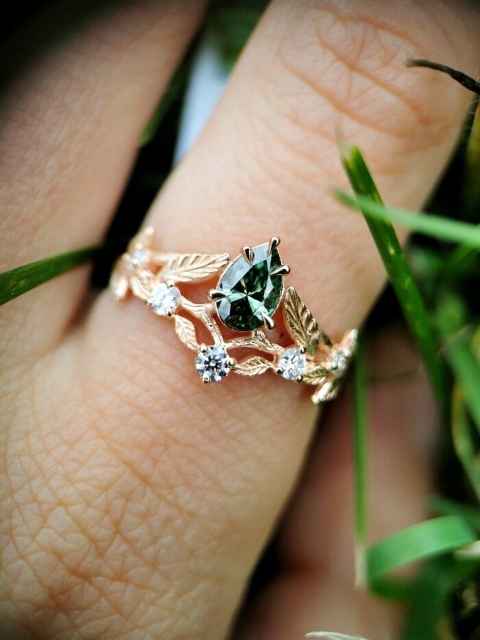 Miško rasa – Paveikslėlis 1