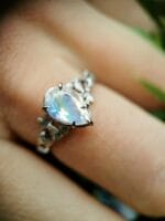 Mėnulio šviesa – Paveikslėlis 7