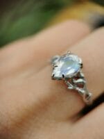 Mėnulio šviesa – Paveikslėlis 6