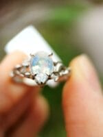 Mėnulio šviesa – Paveikslėlis 4