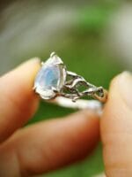 Mėnulio šviesa – Paveikslėlis 8