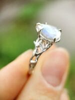 Mėnulio šviesa – Paveikslėlis 2