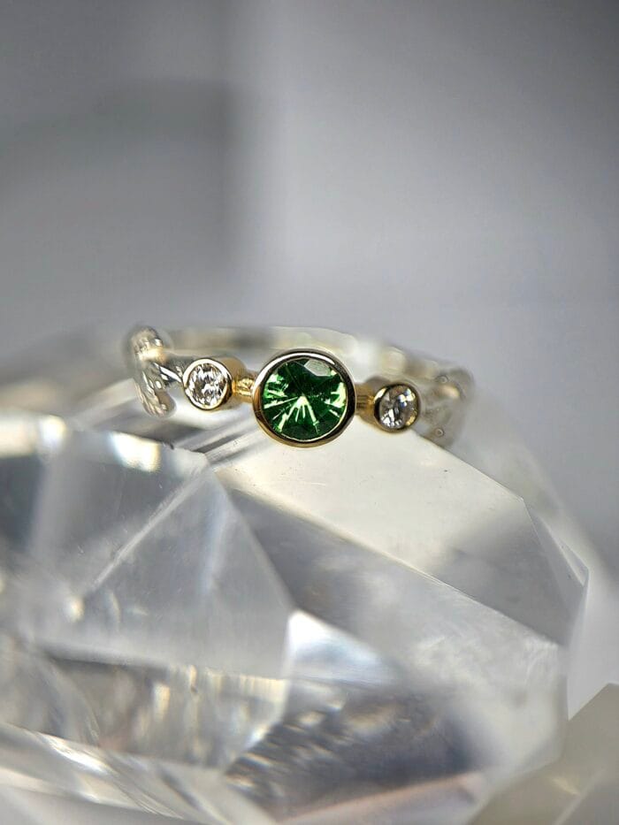 Miško rasa – Paveikslėlis 3