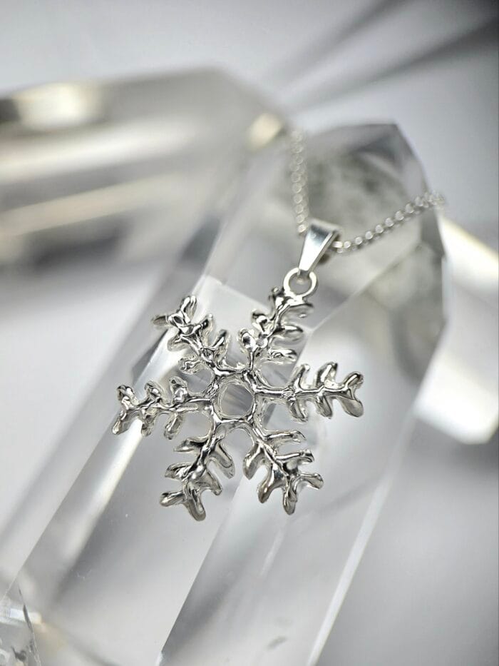 2025/11/6530-1-scaled.jpg Snaigė -9°C – Paveikslėlis 1