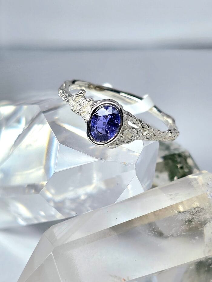 2025/11/6889-scaled.jpg Šerkšno gėlė - Image 1