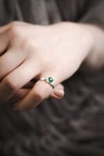 Miško giesmininkas – Paveikslėlis 6