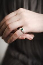 Miško giesmininkas – Paveikslėlis 7