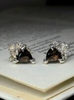 Žemės alsavimas – Paveikslėlis 2