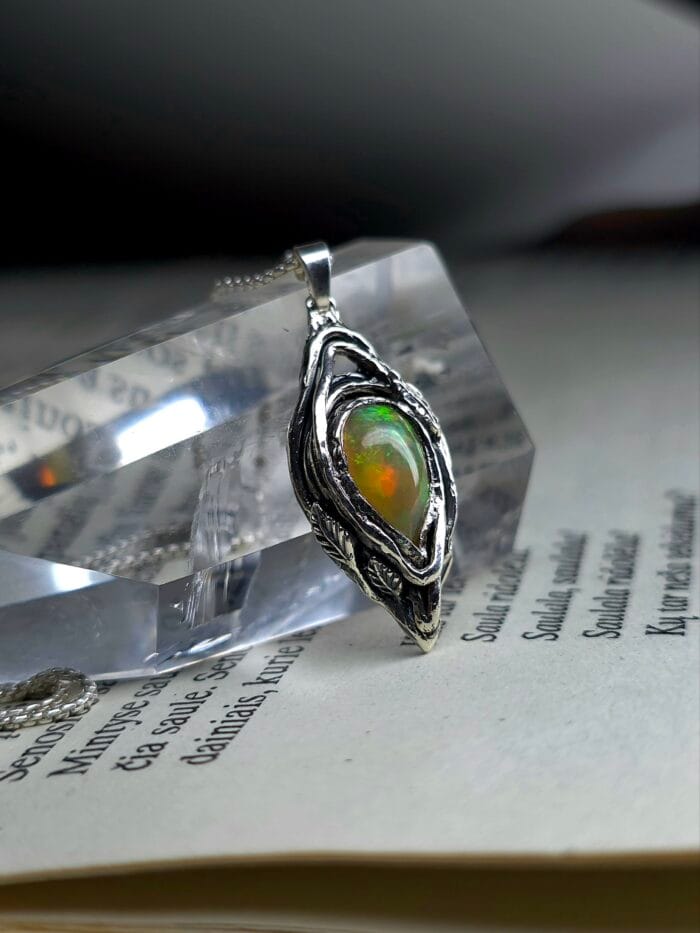 2025/12/10476-scaled.jpg Gyvoji ugnis – Paveikslėlis 1