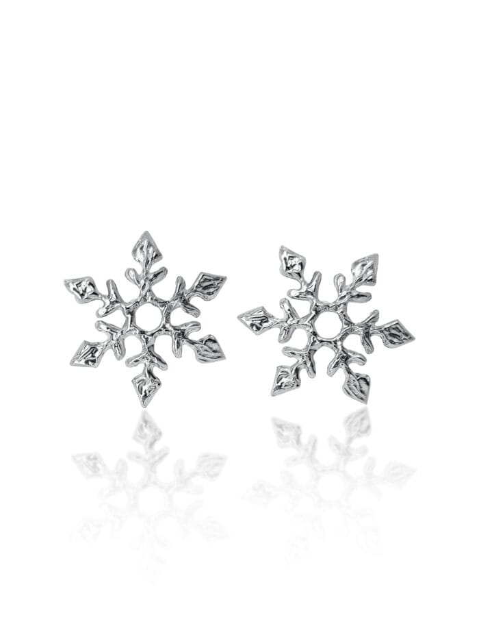 2025/12/10576-scaled.jpg Snaigės -6°C - Image 1