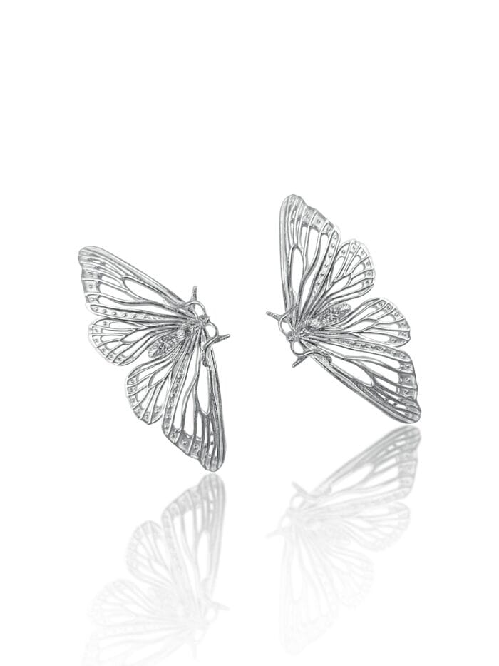 2025/12/10578-scaled.jpg Drugeliai - Image 1