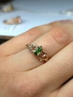 Gilios miško akys - Image 3