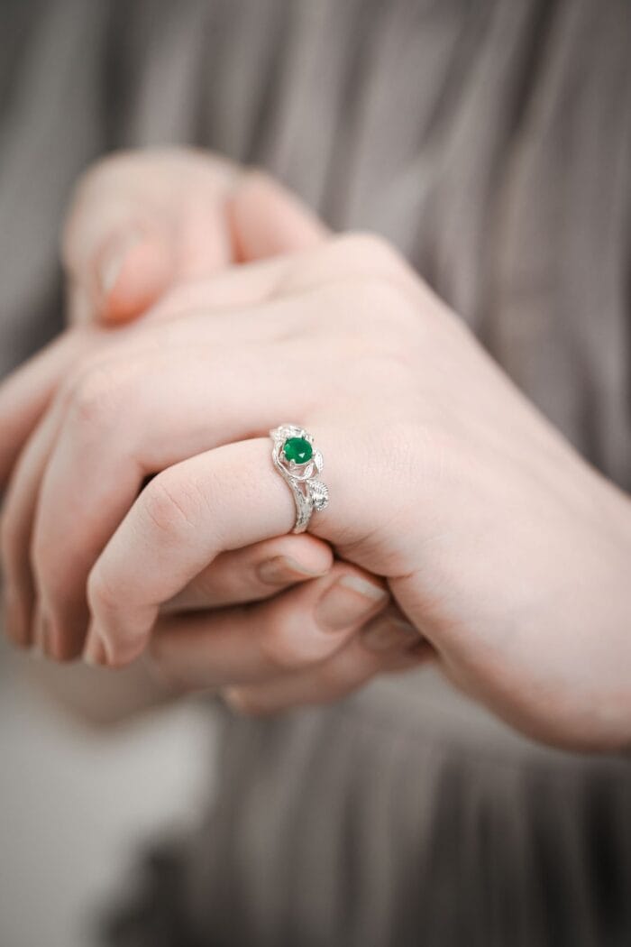 Miško giesmininkas – Paveikslėlis 3