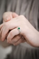 Miško giesmininkas – Paveikslėlis 4