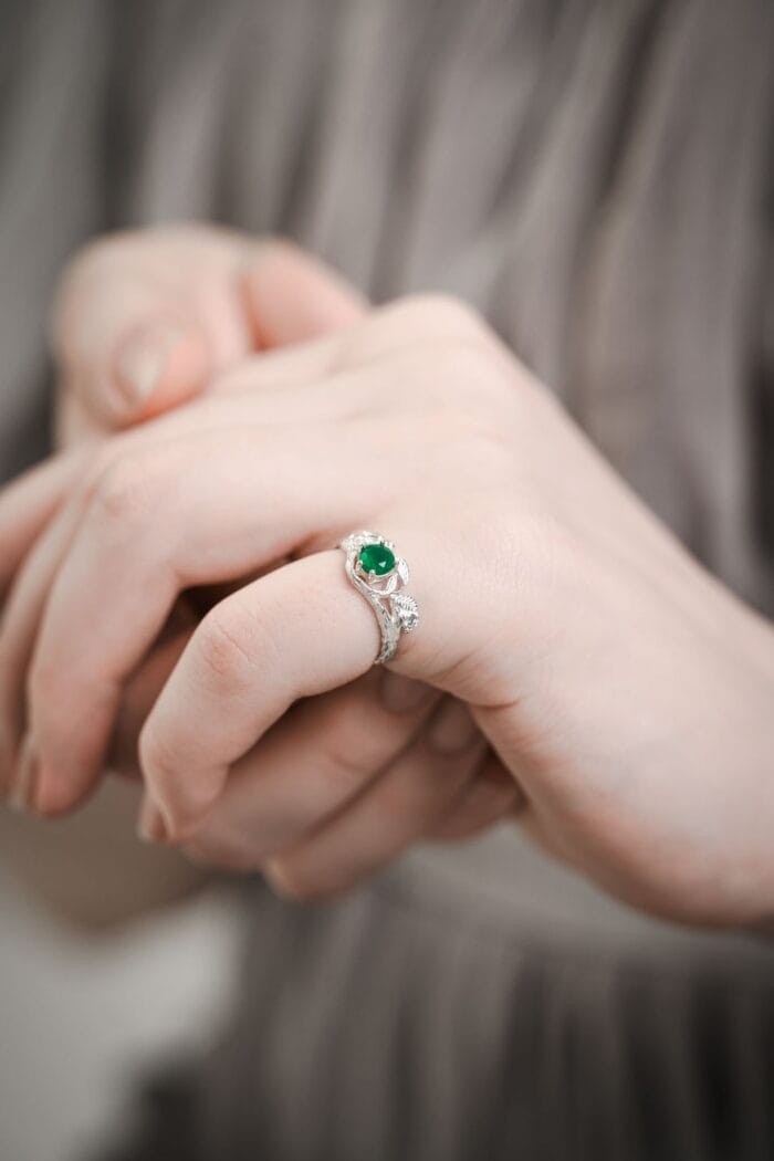 Miško giesmininkas – Paveikslėlis 4